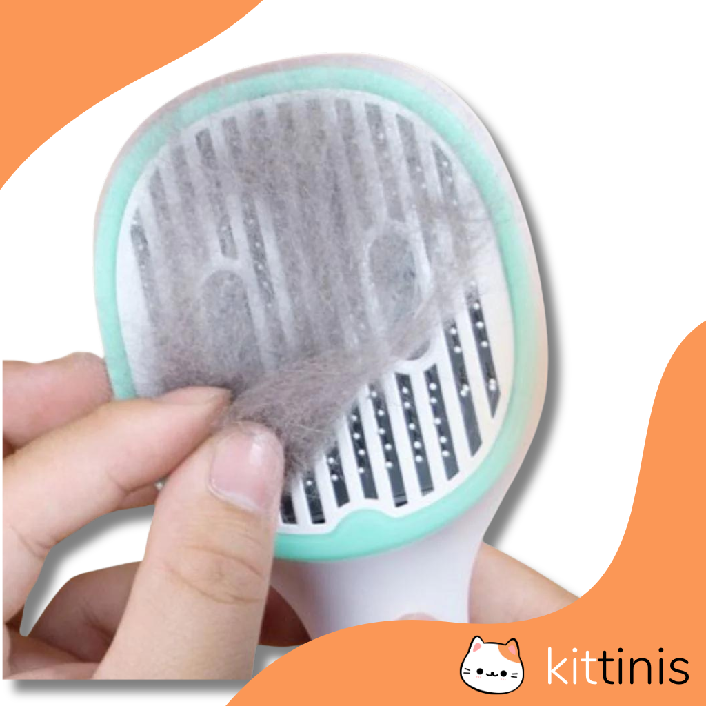 KITTINIS - LUXBRUSH® (UV-Zeckenbürste) | 50% RABATT!