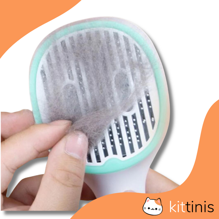 KITTINIS - LUXBRUSH® (UV-Zeckenbürste) | 50% RABATT!