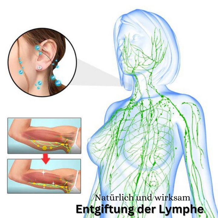 Acurrings™️ I Magnetische Therapie-Ohrringe (1+1 GRATIS)