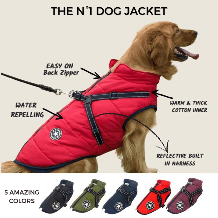 DoggyKönig™ 3 in 1 Jacket