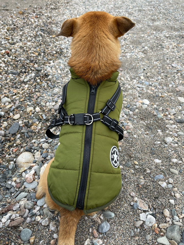 DoggyKönig™ 3 in 1 Jacket