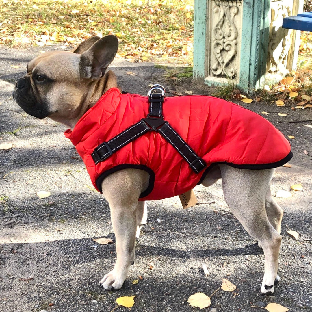 DoggyKönig™ 3 in 1 Jacket