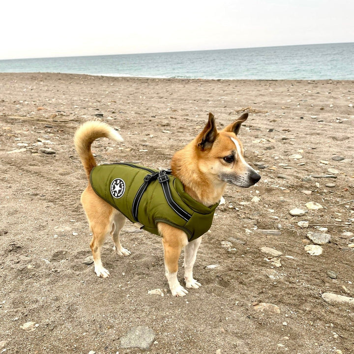 DoggyKönig™ 3 in 1 Jacket