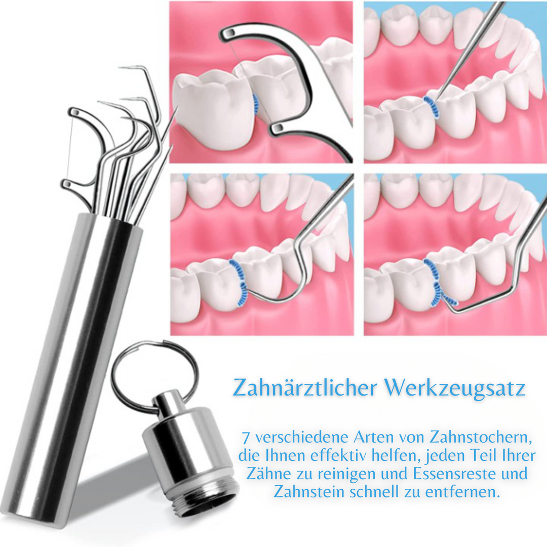 Oralcare™️ I Zahnstocherset aus Edelstahl (1+1 GRATIS)