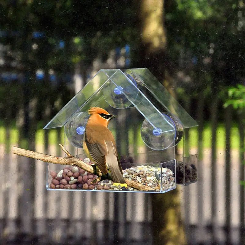 Vogelfutterhaus - Bringt die Natur in Ihr Haus! Vogelhaus - Futterstelle für Vögel